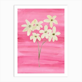 White Flowers On Pink Art Print