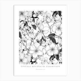 Bougainvillea B&W Vintage Botanical Poster Art Print