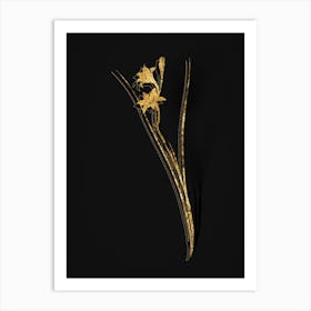 Vintage Gladiolus Botanical in Gold on Black n.0102 Art Print