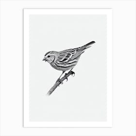 Yellowhammer B&W Pencil Drawing Bird Art Print