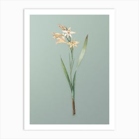 Vintage Gladiolus Cuspidatus Botanical Art on Mint Green n.0183 Art Print