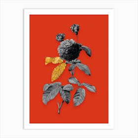 Vintage Agatha Rose in Bloom Black and White Gold Leaf Floral Art on Tomato Red n.0153 Art Print