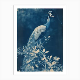 Cyanotype Inspired Peacock In The Leaves 1 Art Print