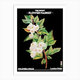 Flower Market Night Columbia Road London Fields Vintage Botanical Art Print