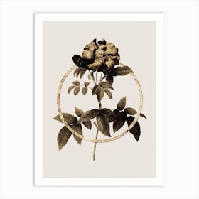 Gold Ring Provins Rose Glitter Botanical Illustration n.0208 Art Print