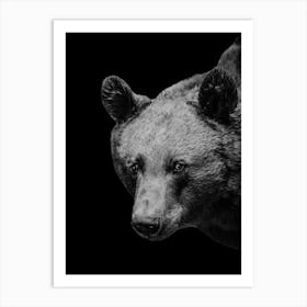 Black Bear Art Print