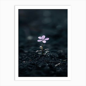 Small Purple Flower Art Print