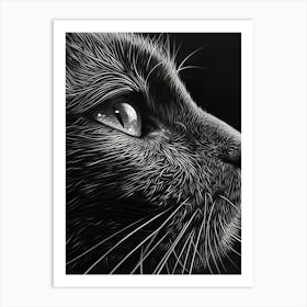 Black And White Cat Portrait Art Print