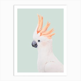 Cockatoo Art Print