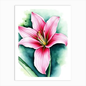 Pink Lily 6 Art Print