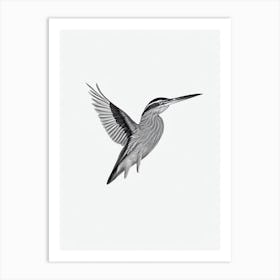 Green Heron B&W Pencil Drawing 3 Bird Art Print