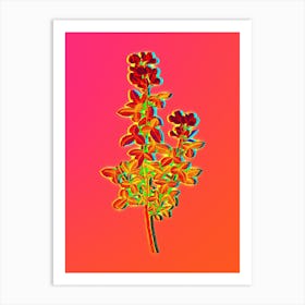 Neon Common Cytisus Botanical in Hot Pink and Electric Blue n.0393 Art Print