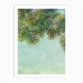 Acropora Pulchra Ii Storybook Watercolour Art Print