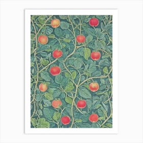 Rose Apple Vintage Botanical Fruit Art Print
