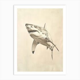 Great White Shark Vintage Illustration 2 Art Print