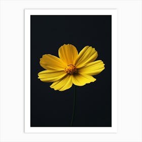 Yellow Cosmos Flower 6 Art Print