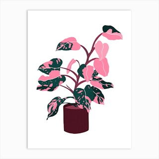 Pink Princess Plant Art Print