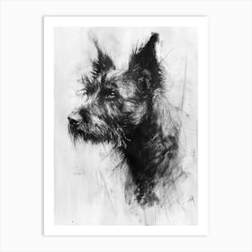 Belgian Laekenois Charcoal Line Art Print