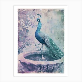 Lilac & Blue Peacock In A Fountain Cyanotype Inspired Art Print