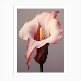 Floral Illustration Calla Lily 2 Art Print