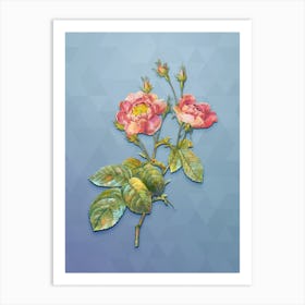 Vintage Anemone Centuries Rose Botanical Art on Summer Song Blue n.0165 Art Print