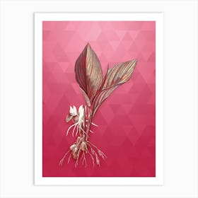 Vintage Koemferia Longa Botanical in Gold on Viva Magenta Art Print