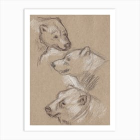 Bears Sketch Art Print