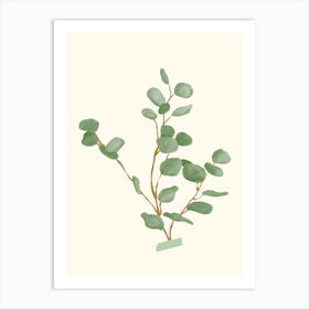 Eucalyptus 6 Art Print