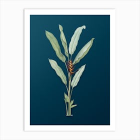 Vintage Parrot Heliconia Botanical Art on Teal Blue n.0337 Art Print