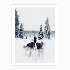 Sled Dog Team Art Print