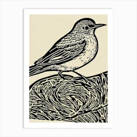 Hermit Thrush Linocut Bird Art Print