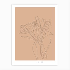 Florals Art Print