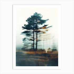 Pine Tree In The Fog Art Print