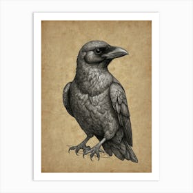 Crow! 2 Art Print