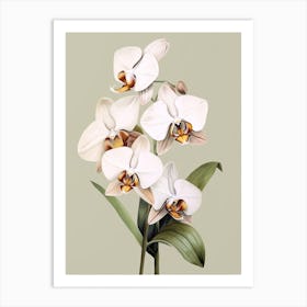 White Orchids Art Print