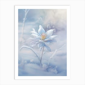 Beautiful Winter Flower 8 Art Print