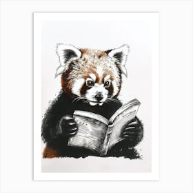 Red Panda Reading Ink Illustration 1 Art Print