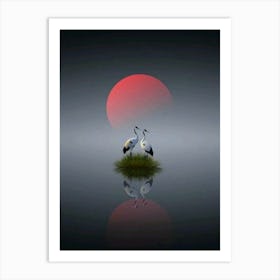 Cranes In The Water Art Print