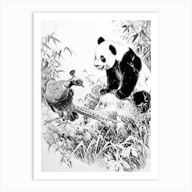 Giant Panda And A Blood Pheasant Ink Illustration 3 Art Print