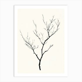 Bare Tree Art Print