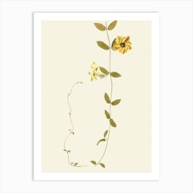 Lily Of The Valley 35 Art Print