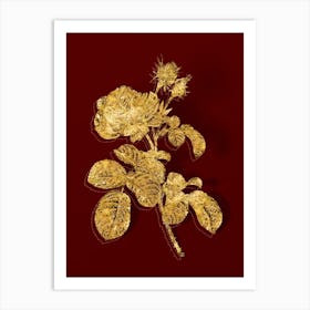 Vintage Provence Rose Botanical in Gold on Red Art Print