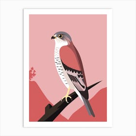 Minimalist Eurasian Sparrowhawk 3 Illustration Art Print