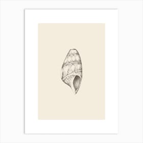 Illustration 607 'Pencil Seashell', Aga Szafranska Art Print