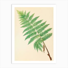 Vintage Illustration Japanese Tassel Fern 4 Art Print