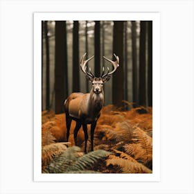 Deer In The Forest 5 Art Print