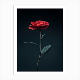 Single Red Rose 20 Art Print