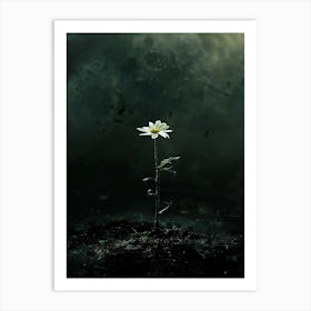 Flower In The Dark 59 Art Print