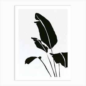 Botanical study - four Art Print