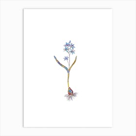 Stained Glass Alpine Squill Mosaic Botanical Illustration on White n.0219 Art Print
